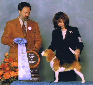 'Best Puppy'