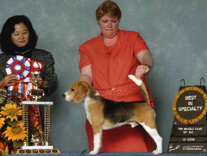 'Best of Breed'