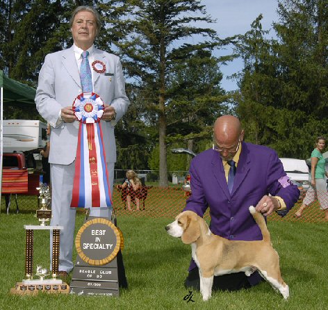 'Best of Breed'