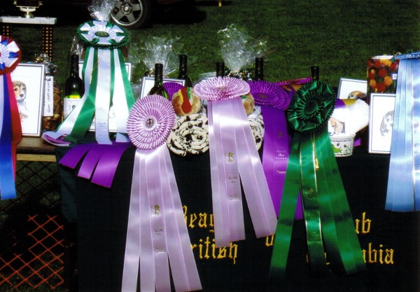 'Trophy Table'