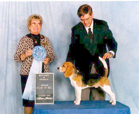 Ch Jackpot's Simply Fantastique X Dreams Of Aimin' High