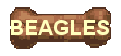 ABOUT THE BEAGLE