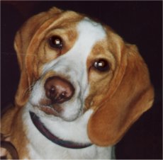 Benson
