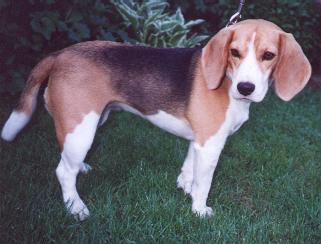 Carly