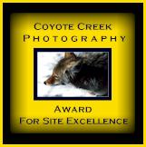 Coyote Creek Photography