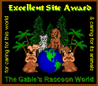 The Gable's Raccoon World