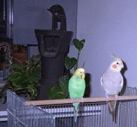 Friends