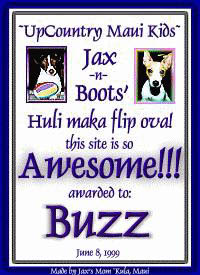 UpCountry Maui Kids'Huli Maka Flip Ova! Awesome!!! Award