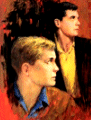 Hardy Boys
