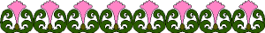/user/graphics/pnkflbar.gif
