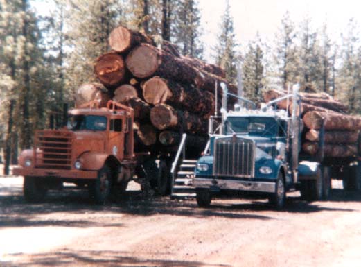 mdshp356s.jpg (9667 bytes)