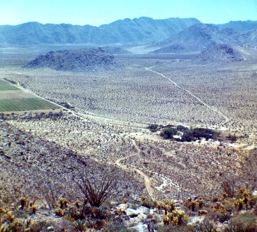 mdshp356s.jpg (9667 bytes)