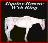 another great site in the Equine Rescue WebRing