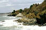 Newport Cliffwalk