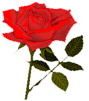 A flower of my lover for Jayson