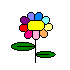 fiore arcobaleno