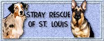 Stray Rescue of St. Louis
