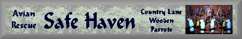 Safe Haven Banner