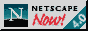 Netscape Logo