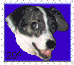 Kylie as postage