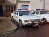 Police Car, Wrong Answer