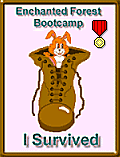 Boot Camp Survival Award