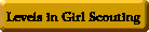 GS levels button