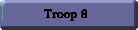 Troop 8 button