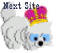 Cyber next