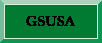 GSUSA button
