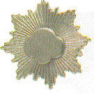 silver award