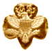 Trefoil pin