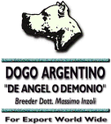 Logo De Angel o Demonio