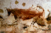 lascaux2