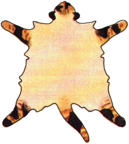 seal tortiepoint
