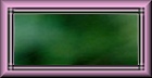 Blank Button