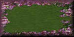 Blank Button