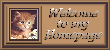 Welcome Banner