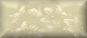 Blank Button