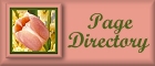 Page Directory