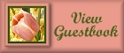 View Guestbook