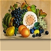 Fruit