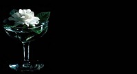 Rose In A Glass