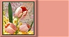 Peach Tulips