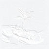 Arbor Day 99