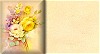White and Yellow Roses