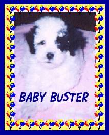 [Baby Buster]