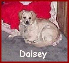[Daisey]