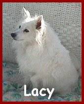 [Lacy]