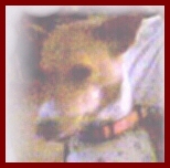 [Miss Winnii]
